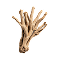 Ashwagandha Root Extract