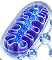 Acetyl L-Carnitine