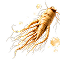 Panax Ginseng Extract